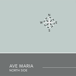 map-ave-maria